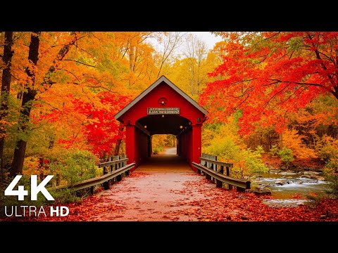 Видео: Красивая расслабляющая музыка в 4K 🍁 Очаровательные осенние пейзажи со звуками леса и умиротворяющей