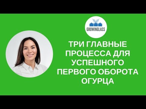 Видео: Три главные процессы для успешного первого оборота огурца