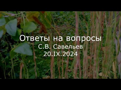 Видео: С.В. Савельев - Ответы на вопросы