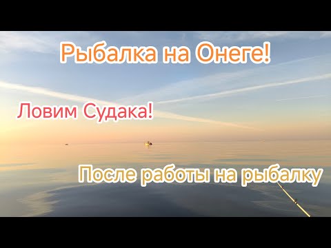 Видео: Рыбалка на Онежском озере!! Ловим судаков после работы