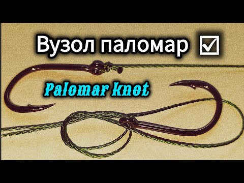 Видео: Palomar Knot. Nudo Palomar. Вузол Паломар. #hakenbinden #hooktying