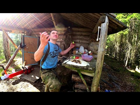 Видео: 🏕Изба в лесу.Здесь как дома.Шашлык из щуки на костре.Заготовка дров.Весна 2021