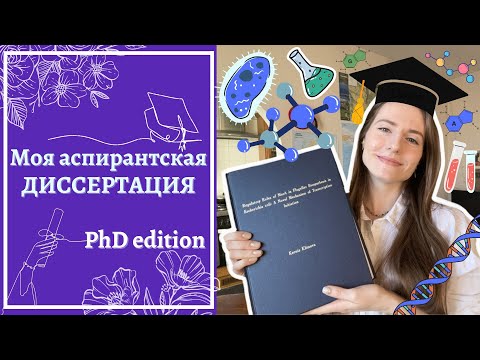 Видео: Моя PhD диссертация // Структура моей докторской (кандидатской) работы