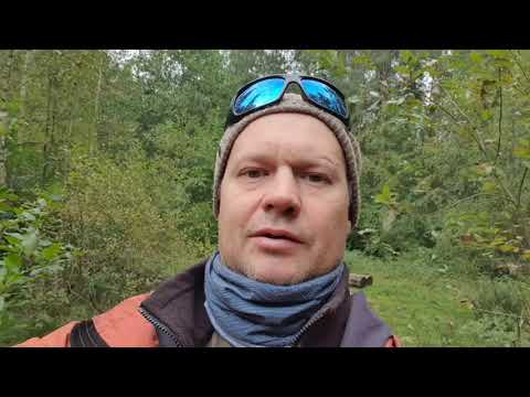 Видео: Разведка в Новоорловский заказник