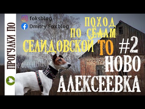 Видео: Поход по селам Селидовской ТО#2 Новоалексеевка Ждем секача