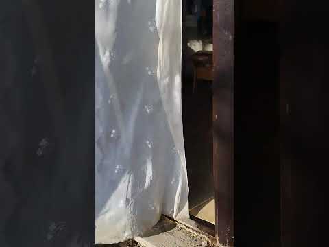 Видео: 30 октября 2025 г.