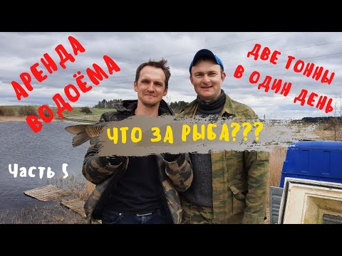 Видео: ЗАПУСТИЛИ 2 ТОННЫ КРУПНОЙ РЫБЫ | Рыбхоз изнутри | Аренда водоема возле деревни Ковалевичи Часть 5