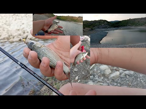 Видео: Ходихме за риба с кросовите мотори на изоставен язовир пълен с риба! Мормишинг риболов на каракуди