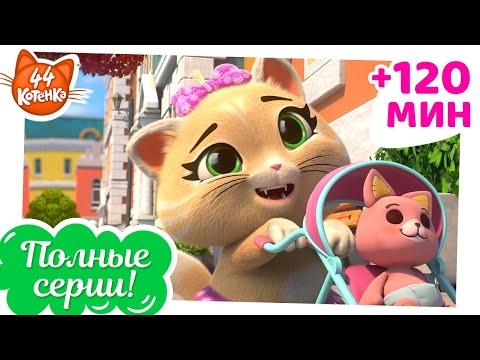 Видео: 44 Котёнка | 120 МИНУТ полных серий! [ПОЛНЫЕ СЕРИИ]