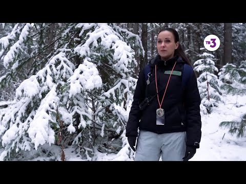 Видео: Вернувшиеся, 1 сезон 7 выпуск