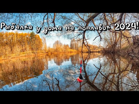 Видео: ОТКРЫЛ СЕЗОН!Классные поклёвки хорошей рыбы прямо у дома)