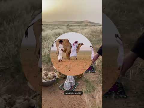 Видео: Харом луқма.        Акрамжон домла