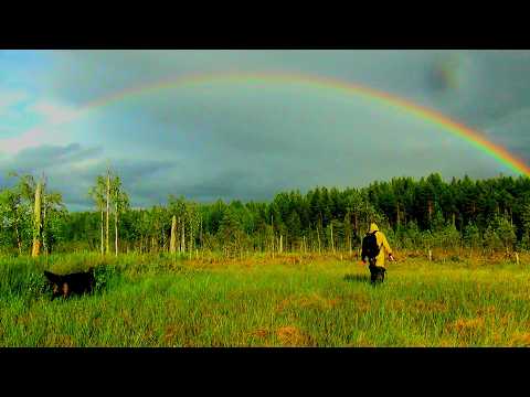 Видео: Нашёл!!! Попёрли рельсы и тракторный запчасти!! Рыбалка на лесном озере!!