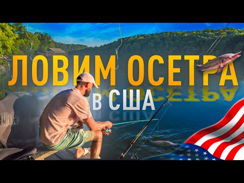 Видео: Рыбалка в Теннеси на дамбе. Хвост, чешуя...
