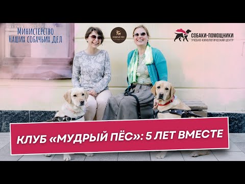 Видео: Клуб «Мудрый пёс»: 5 лет вместе