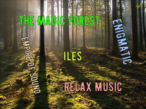 Видео: Потрясающая Музыка и Потрясающий Магический Лес!