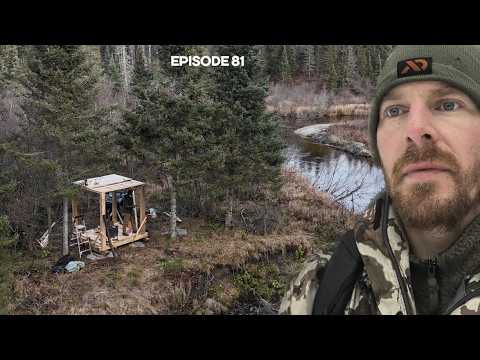 Видео: САУНА на берегу реки, дорога для вездеходов Cliffside | EP81 | Бревенчатый домик, построенный на ...