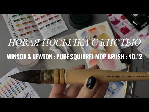 Видео: ПОСЫЛКА С САЙТА JACKSONSART /  МОЯ САМАЯ ДОРОГАЯ КИСТЬ