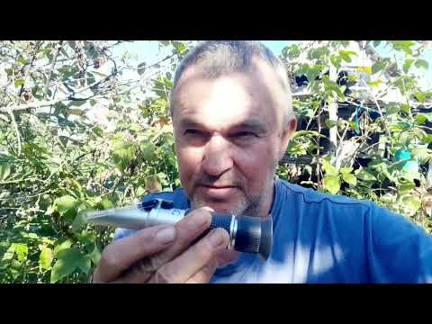 Видео: Самогон из овса. Часть первая. Затираем брагу.