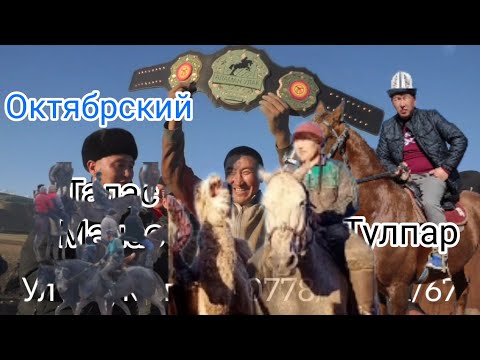 Видео: Манас Талас берген УЛАК