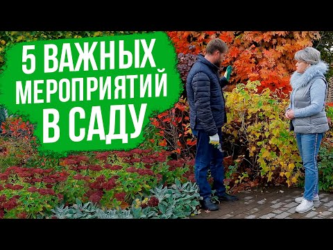 Видео: Осенние работы в саду. Подготовка огорода к зиме. Основные работы.