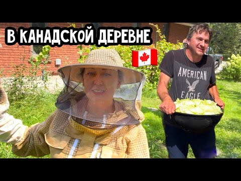 Видео: Жизнь в Канаде// канадская деревня