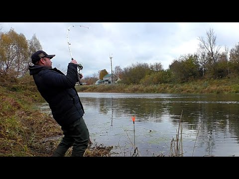 Видео: Ловля Щуки на Живца и на Джиг с берега! Рыбалка на Оке в октябре!