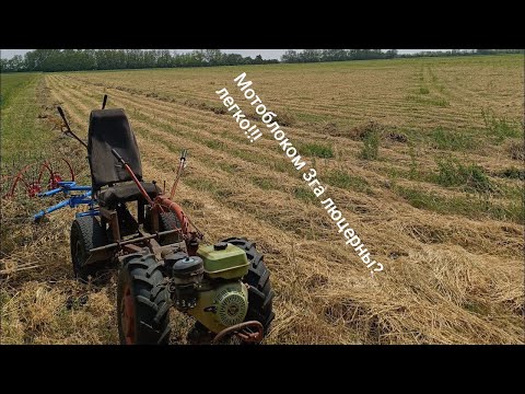 Видео: Уборка сена мотоблоком Нева мтз. покос грабли и китайский пресс