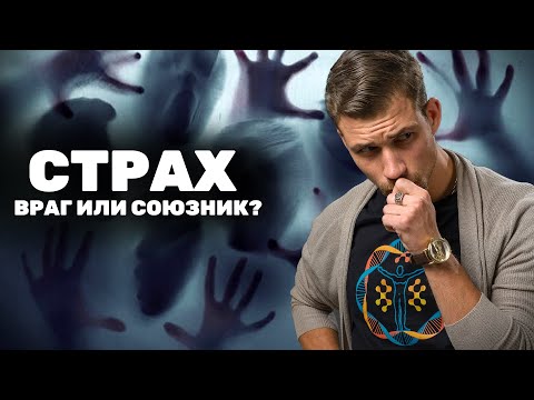 Видео: ТВОЙ СТРАХ - ТВОЯ СУПЕРСИЛА 🔴 Уроки Саморазвития от Никиты Метелица