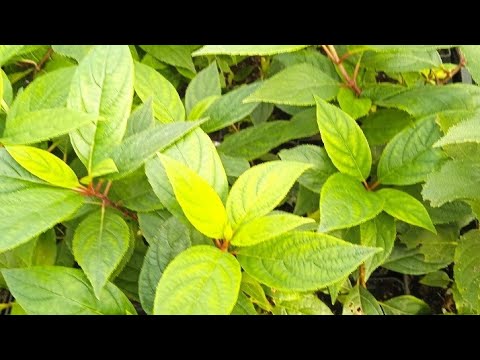 Видео: 24 октября 2025 г.