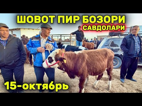 Видео: ХОРАЗМ ШОВОТ ПИР МОЛ БОЗОРИ. ЁШ ХЎКИЗЧА ВА ҒУНАЖИНЛАР САВДОЛАРИ 15-октября 2025 г.
