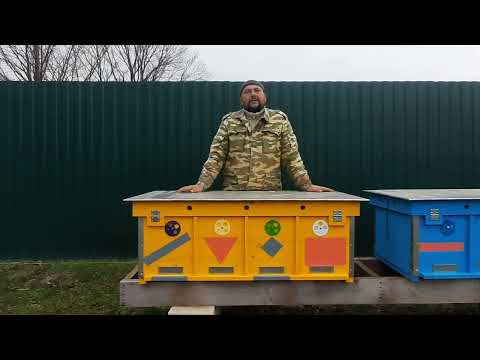 Видео: Внимание!!! Незабываем Обработать Пчёл от Клеща!!!