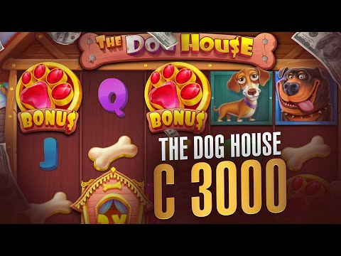 Видео: ЗАНЕС В СЛОТЕ THE DOG HOUSE?! ПОЙМАЛ 2 ЖИРНЫХ БОНУСКИ В THE DOG HOUSE