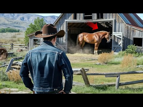 Видео: Мужчина Купил Ранчо За $1… Пока Лошадь, Жившая Там, Не Изменила Его Жизнь