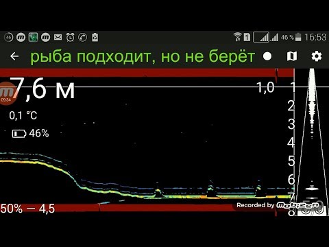 Видео: Эхолот Практик 7 Wi-Fi. Ловля со льда с эхолотом в режиме "Зима" часть 3. Запись данных эхолота