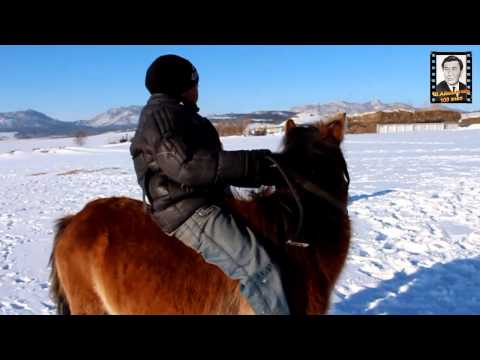 Видео: "Жабағы үйрету"