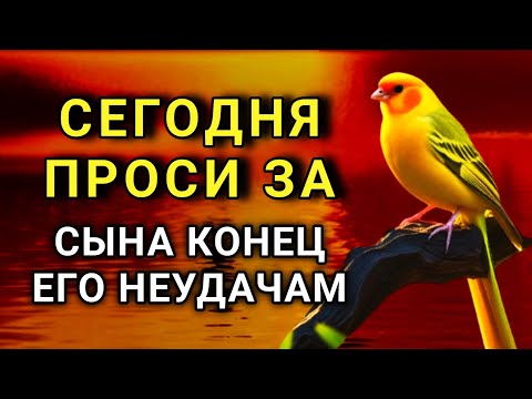 Видео: ☝️ ПРОПУСТИТЬ СЕГОДНЯ НЕЛЬЗЯМолитва за сына защита над нимМолитва будет молитвенным щитом 🤲✨