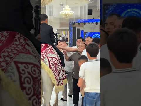Видео: 17 октября 2025 г.