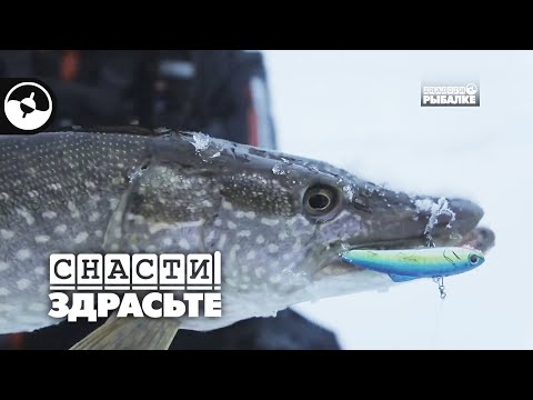 Видео: За зимней щукой на Иртыш | Снасти, здрасьте!