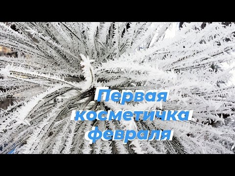 Видео: Первая косметичка февраля 2024 💄❤️