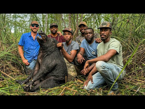 Видео: Глубоко в болотах Флориды ОХОТА НА КАБАНОВ!