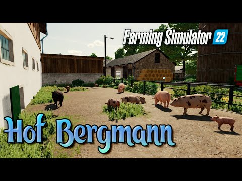 Видео: 🚛Farming Simulator 22🚛. КАРТА "Hof Bergmann".