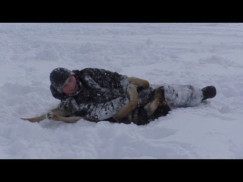 Видео: РЫБАЛКА! ШАШЛЫК! БОРЬБА! Поход на природу!