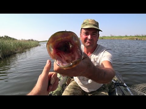 Видео: РЫБАЛКА НА РЕКЕ КАБЫРГА, ЩУКА БЕРЁТ НА КАЖДОМ ЗАБРОСЕ! МЫ В ШОКЕ ОТ ТАКОЙ РЫБАЛКЕ ЛОВИМ В КАЗАХСТАНЕ