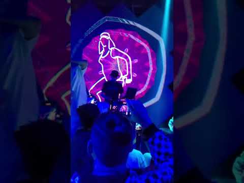 Видео: STED.D － [CARPE DIEM] (До релиза)