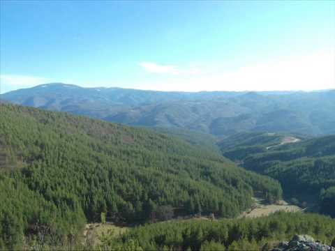 Видео: Алицата оти си аве плакало