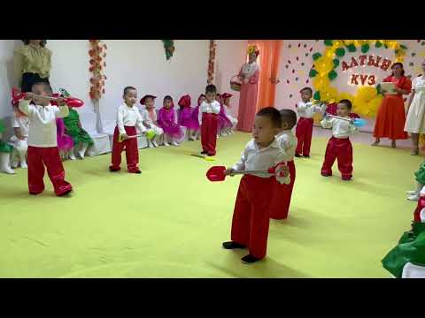 Видео: Алтын күз 2025🍁/ Балдырған тобы