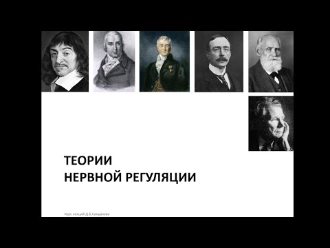 Видео: Лекция 10. Теория функциональных систем. Обработка информации в ЦНС.