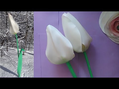 Видео: Мастер - класс ТЮЛЬПАН из изолона