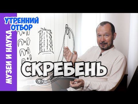 Видео: Новый скребень, паразит из стиральной машинки. Игорь Фадеев